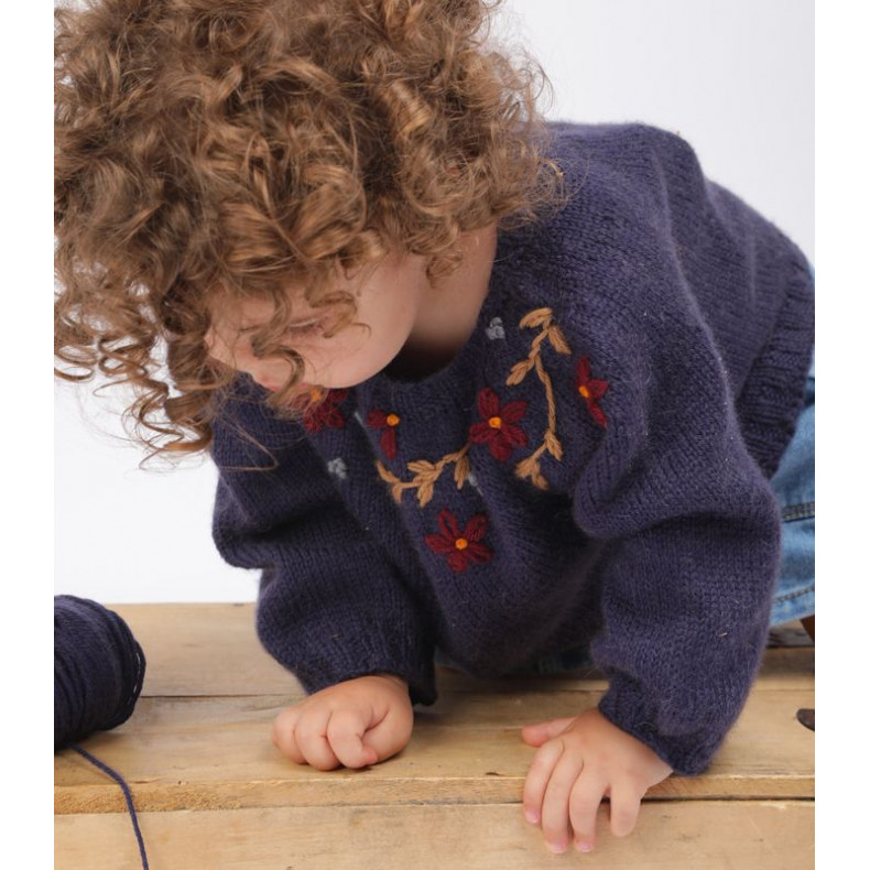 Pattern in French Eugène sweater