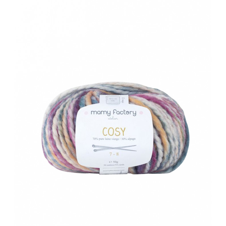 Pelote de laine Cosy - RAINBOW