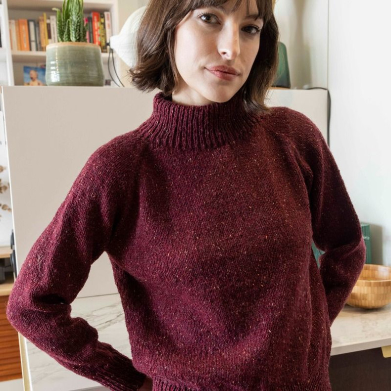 Modèle tricot PDF - Pull Dominique