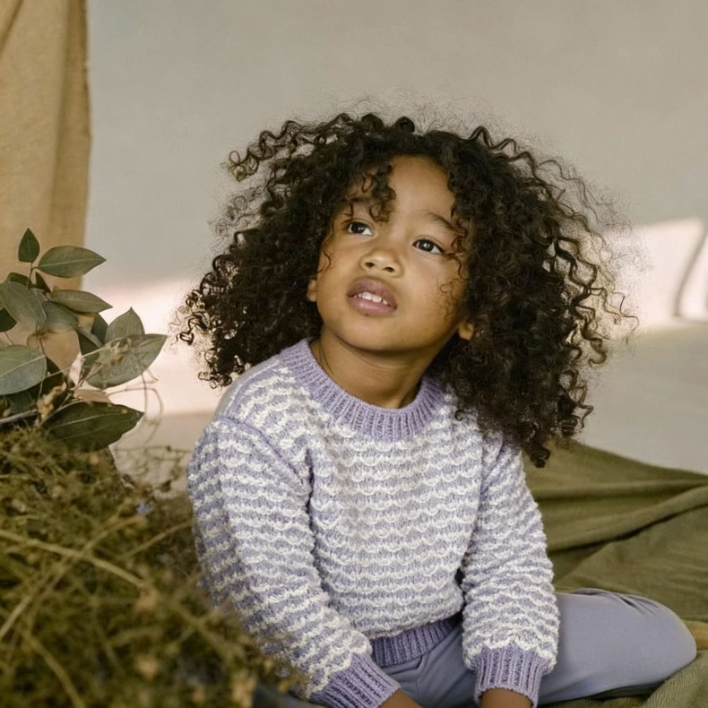 French pattern Anatole sweater French pattern Anatole sweater