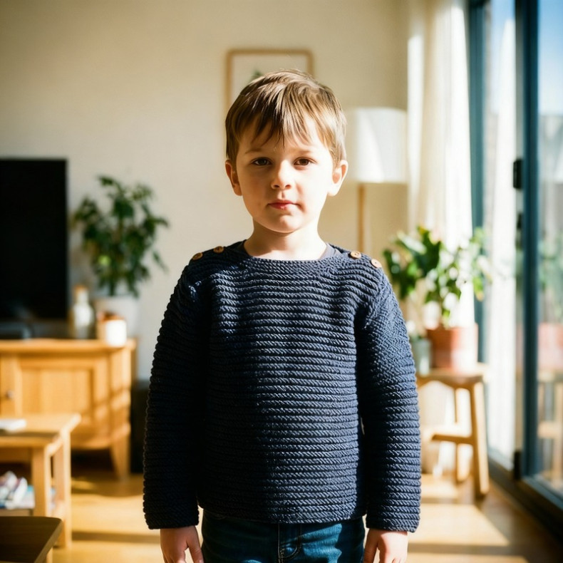 French pattern Anatole sweater